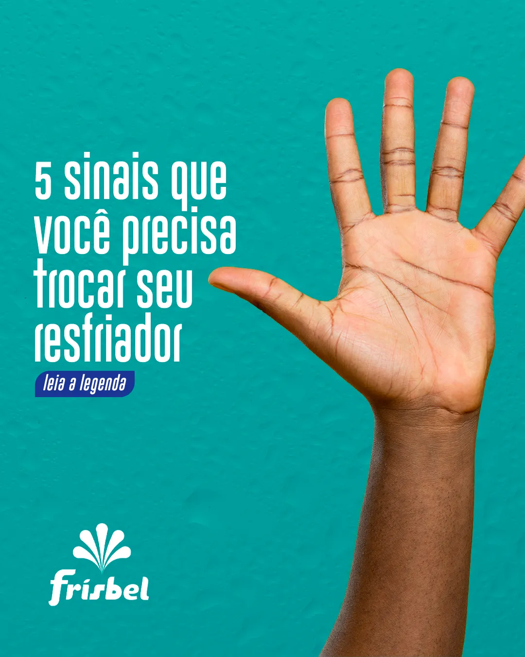 Frisbel Resfriadores - imagem do projeto — 05