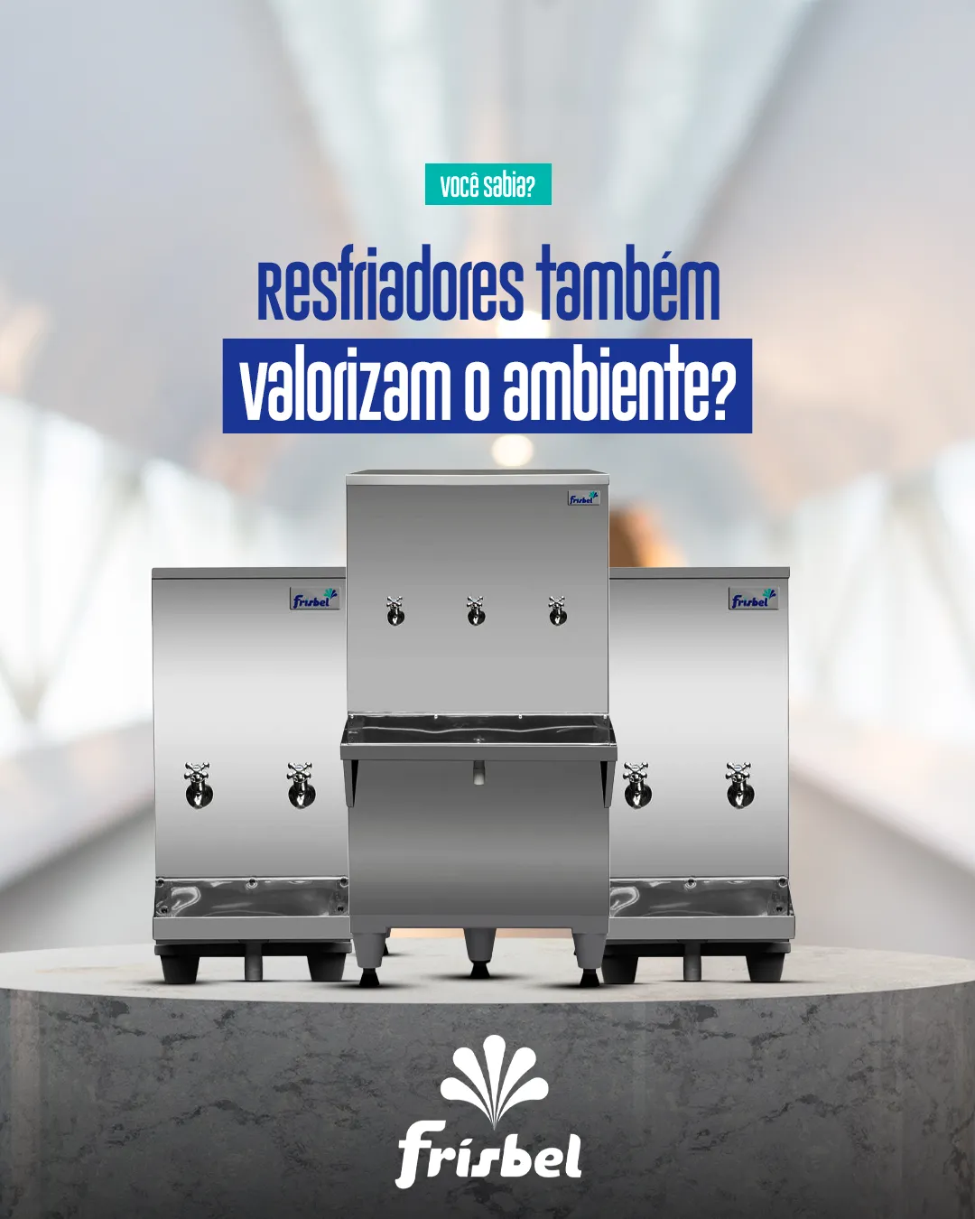 Frisbel Resfriadores - imagem do projeto — 13