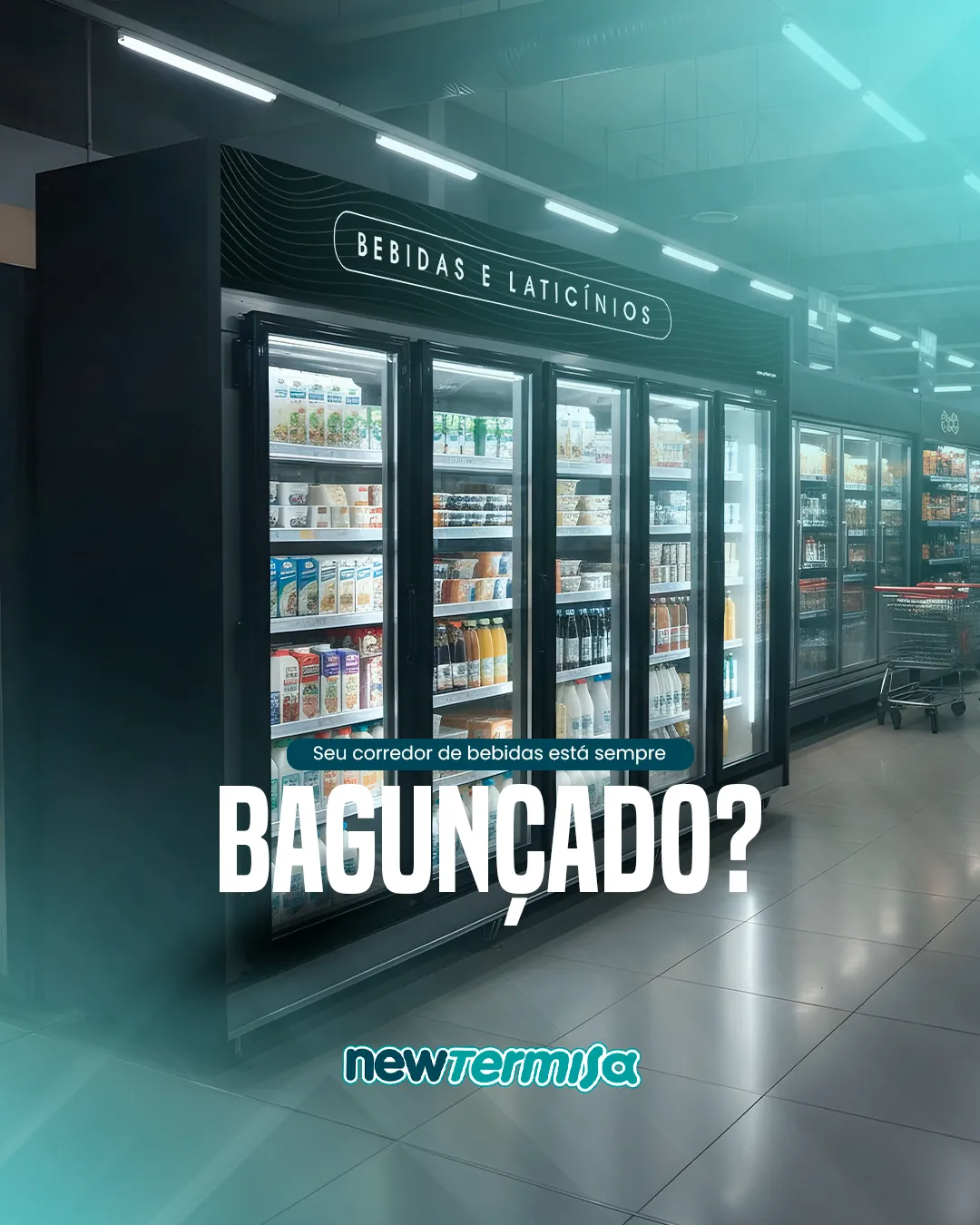 New Termisa - imagem do projeto — 07
